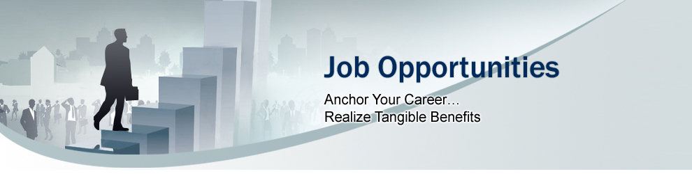IT Jobs in Qatar