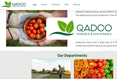 Website design Company Qatar