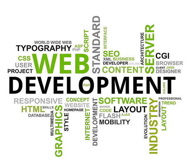 Web Design Development Qatar